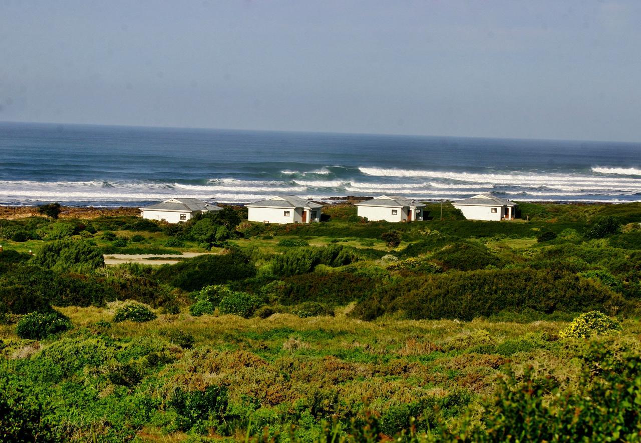 Gourikwa Nature Reserve Gouritzmond Exterior photo